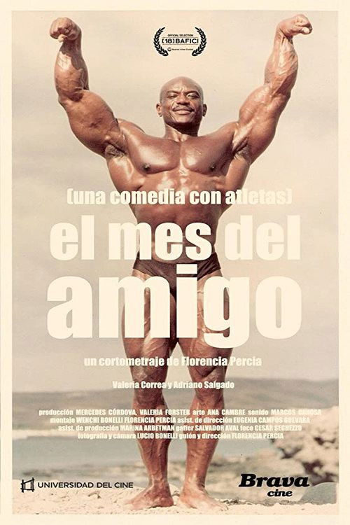 El mes del amigo (2016) poster
