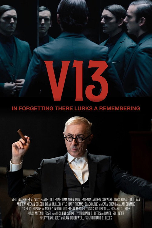 V13 (2025) poster
