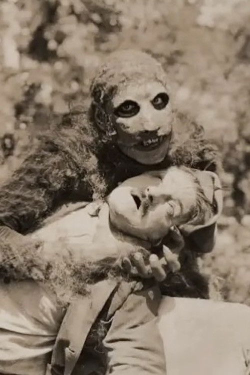 Unknown Treasures (1926) poster