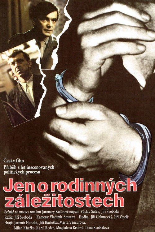Jen o rodinných záležitostech (1991) poster