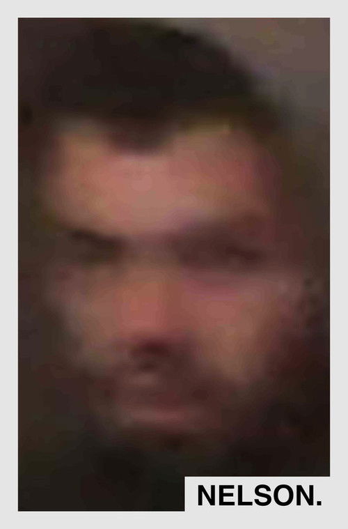 Nelson (2019) poster