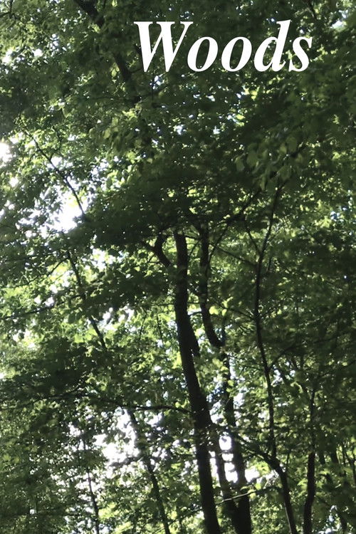 Woods (2019) poster