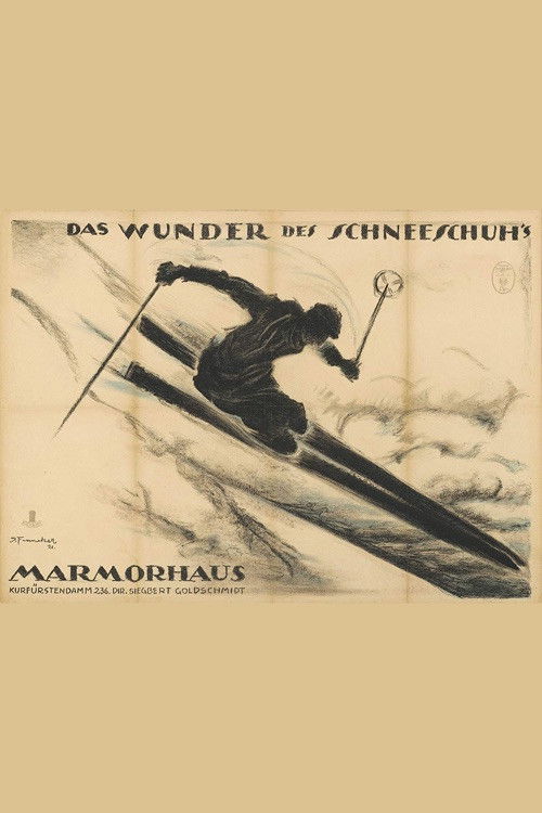 Das Wunder des Schneeschuhs (1920) poster