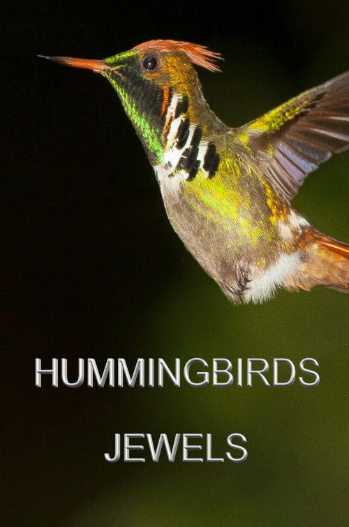 Hummingbirds Jewels (2018) poster