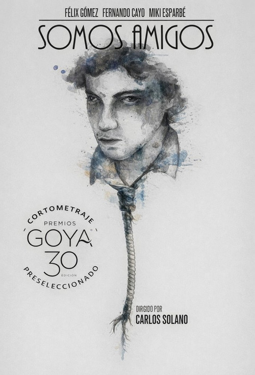 Somos amigos (2014) poster