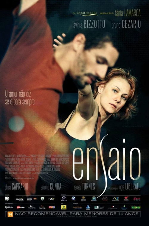 Ensaio (2013) poster