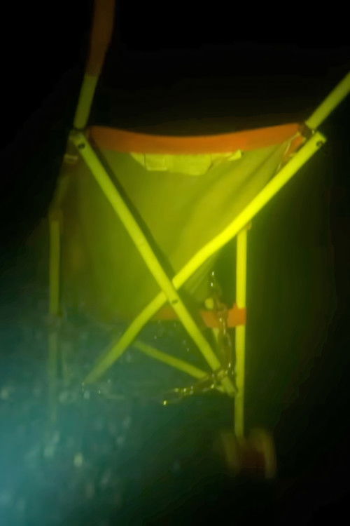 One Last Dive (2013) poster