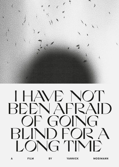 I HAVE NOT BEEN AFRAID OF GOING BLIND FOR A LONG TIME (2022) poster