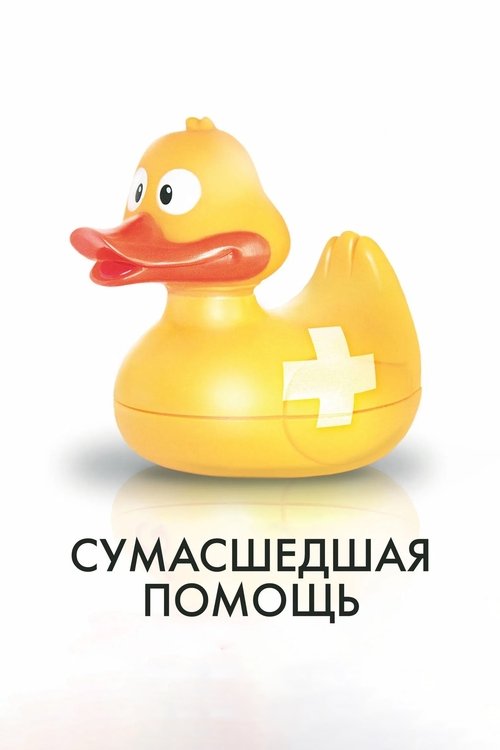 Сумасшедшая помощь (2009) poster