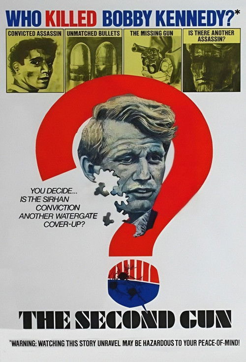 The Second Gun (1973) poster