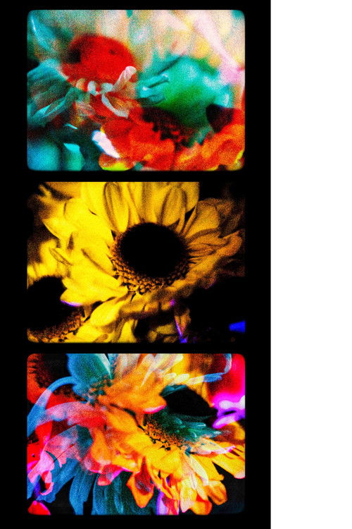 Flowers (II) (2025) poster