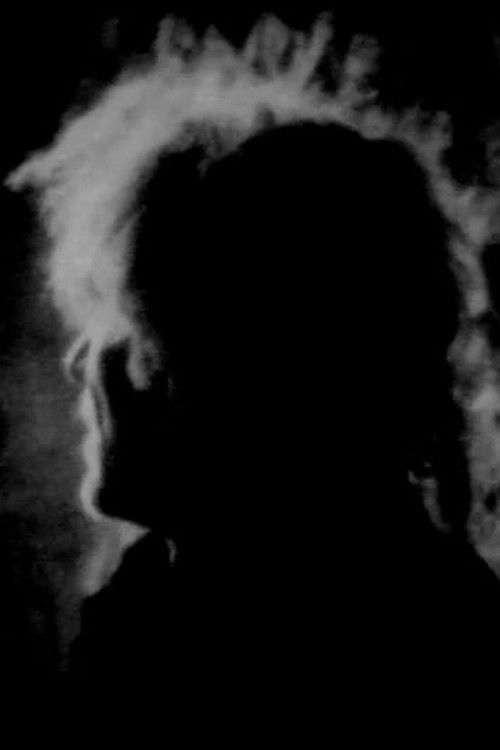 La Nuit Aveugle (2021) poster