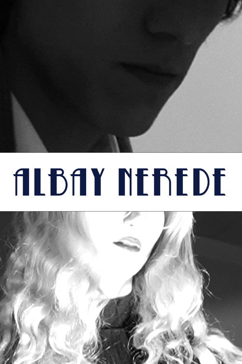 Albay Nerede (2024) poster