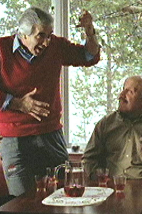 Lappsjukan (2001) poster