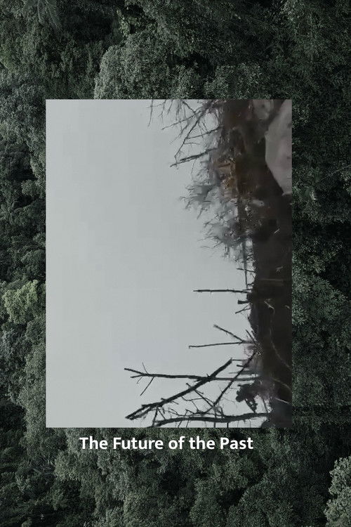 The Future of the Past (2023) poster