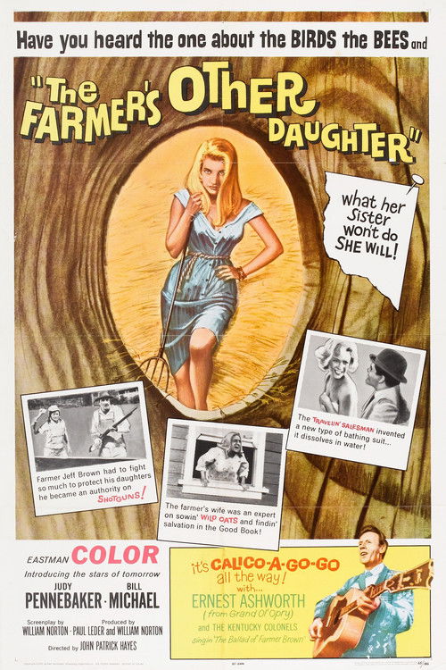 The Farmer's Other Daughter (1965) poster
