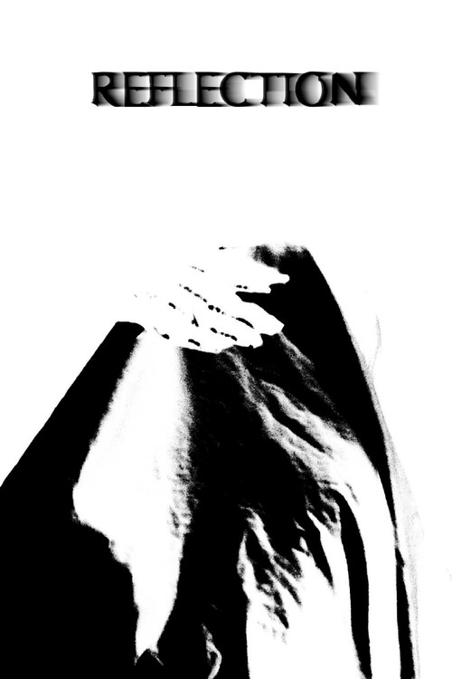 Reflection.mp4 (2025) poster