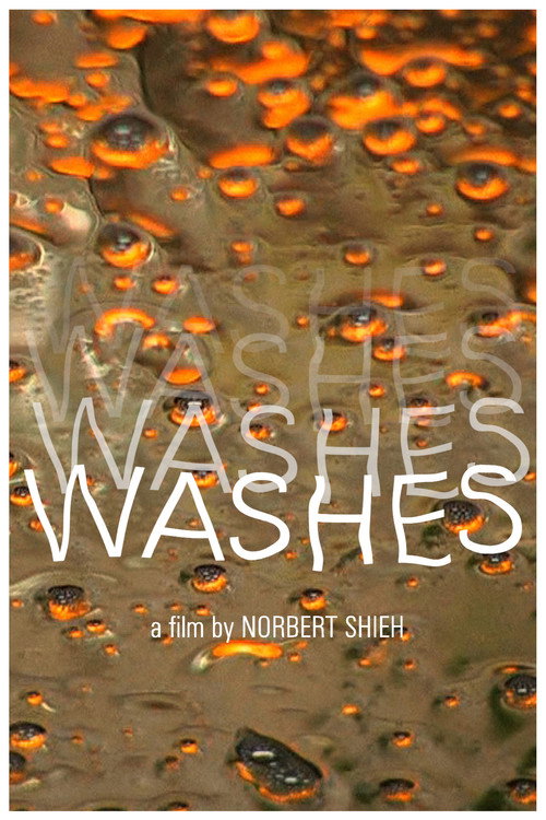 Washes (2010) poster