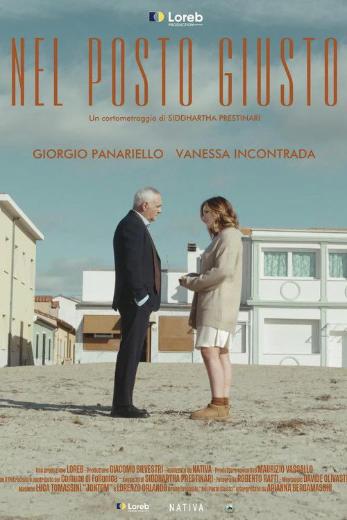 Nel posto giusto (2024) poster