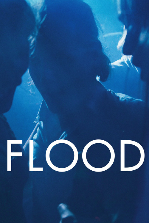 Flood (2020) poster