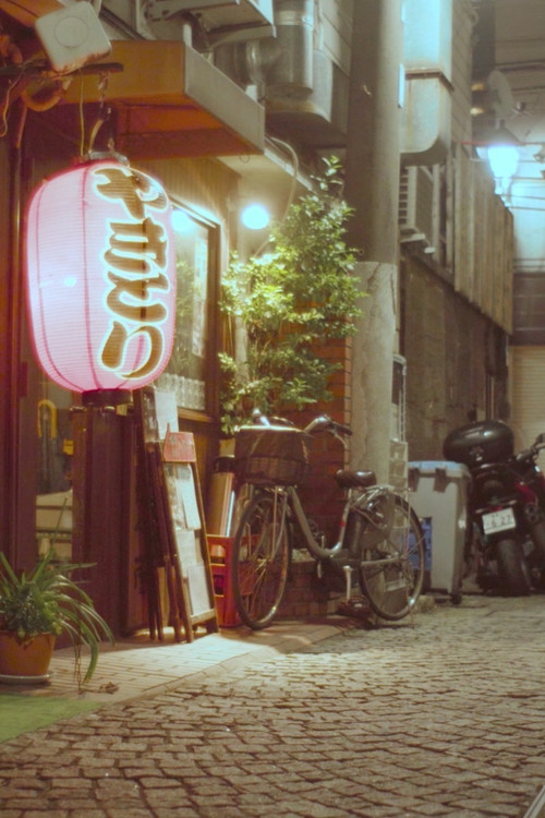 winter terrace (2020) poster