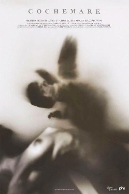 Cochemare (2013) poster