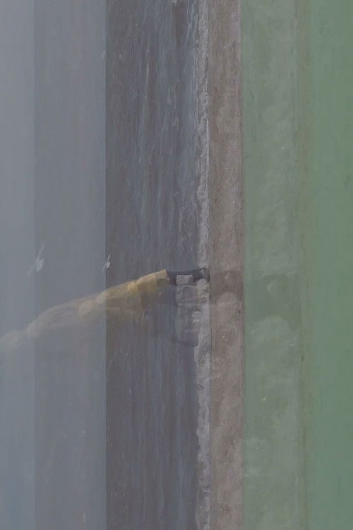 Entrancexit (2022) poster