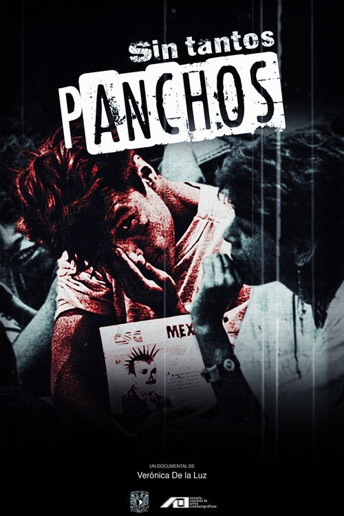 Sin tantos panchos (2019) poster