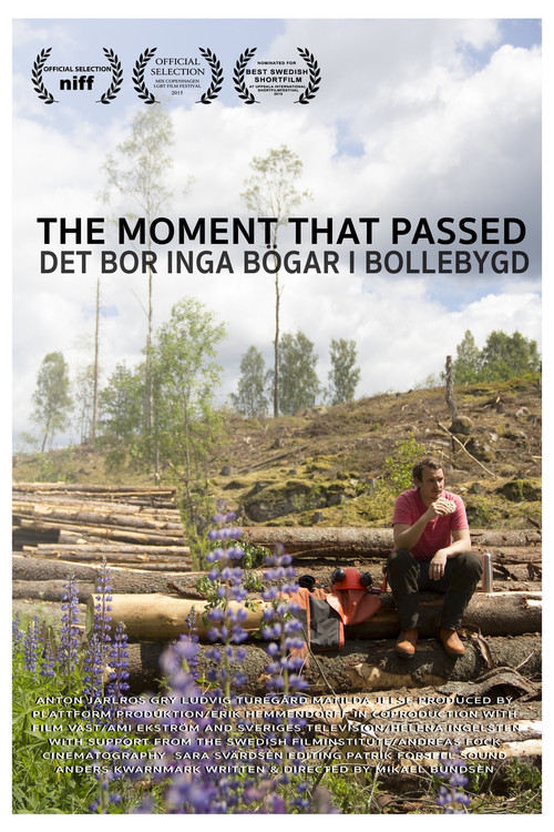 The Moment That Passed (2015) poster