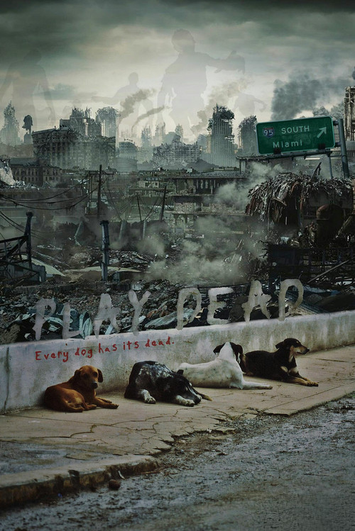 Play Dead (2011) poster