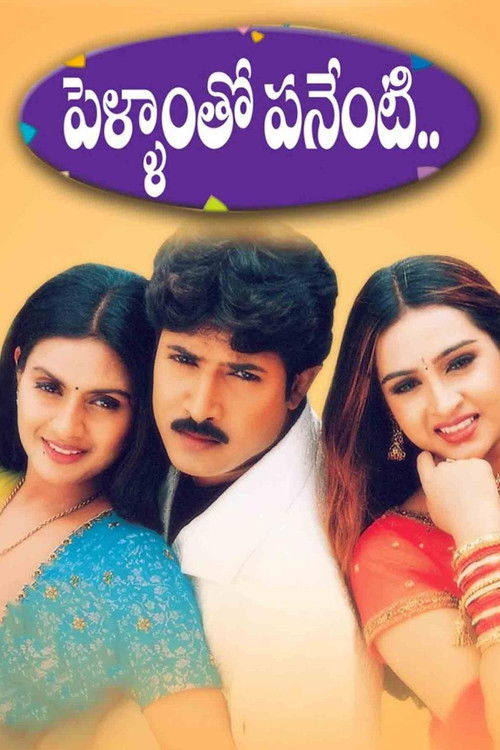 Pellamto Panenti (2003) poster