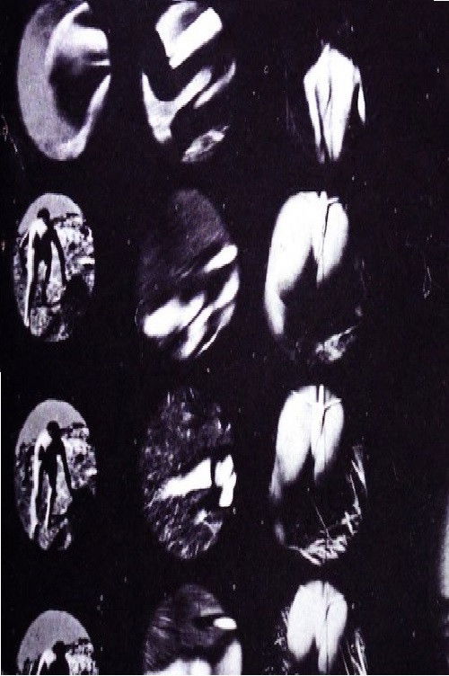 Experiment 002 (1994) poster