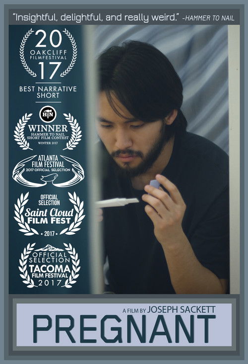 Pregnant (2017) poster