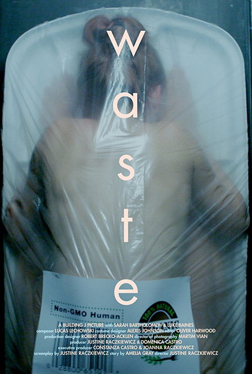 Waste (2016) poster