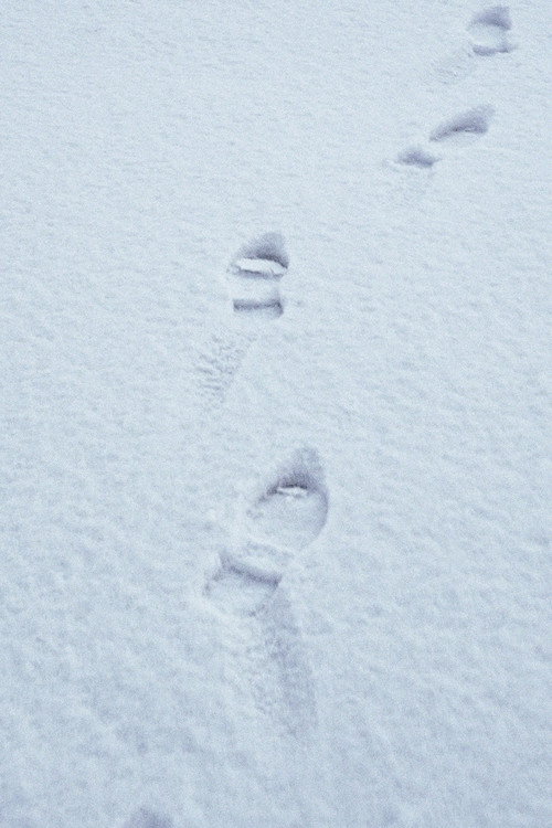 Terza passeggiata - Sulla neve (2019) poster