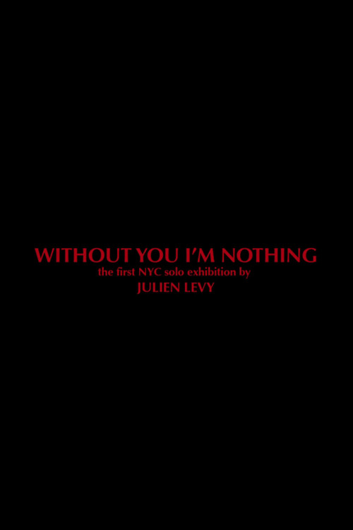 Without You I'm Nothing (2014) poster
