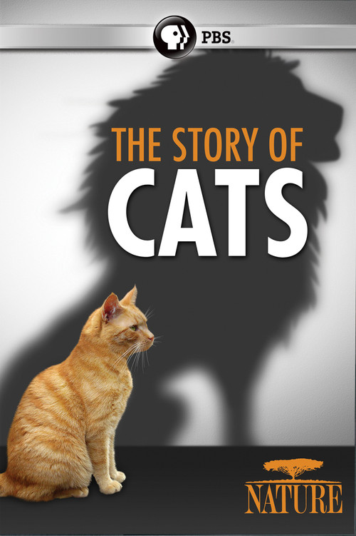 The Story of Cats (2016) poster