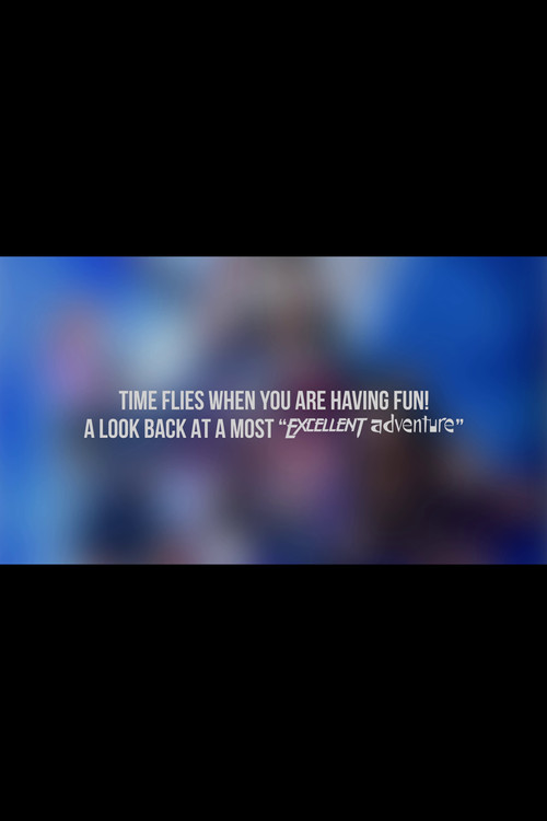 Time Flies When You Are Having Fun! A Look Back at a Most "Excellent Adventure" (2020) poster