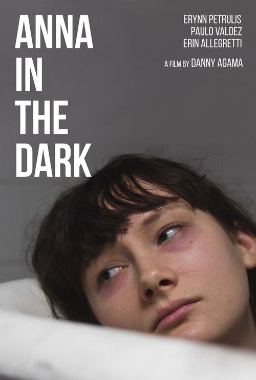 Anna in the Dark (2014) poster