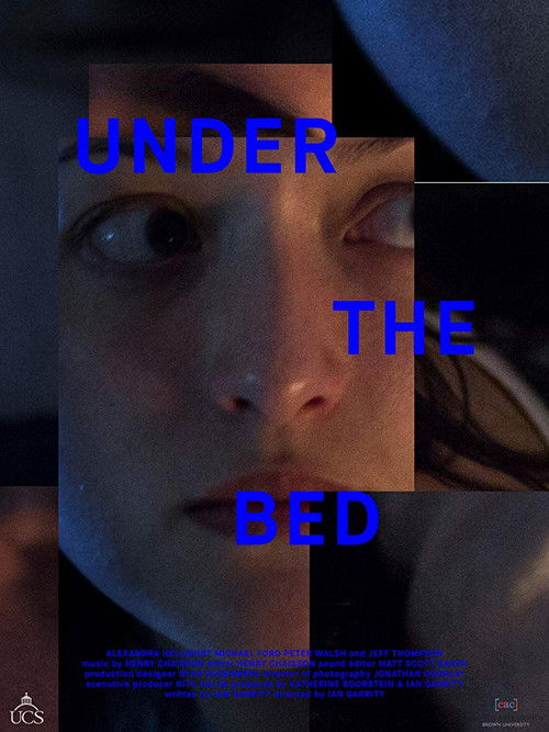 Under the Bed (2016) poster