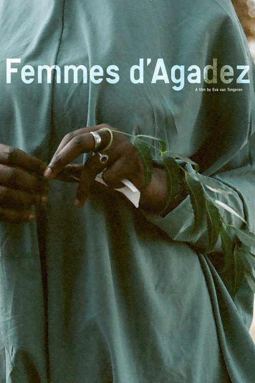 Femmes d'Agadez (2026) poster