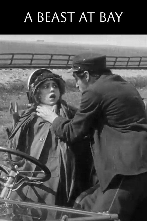 A Beast at Bay (1912) poster