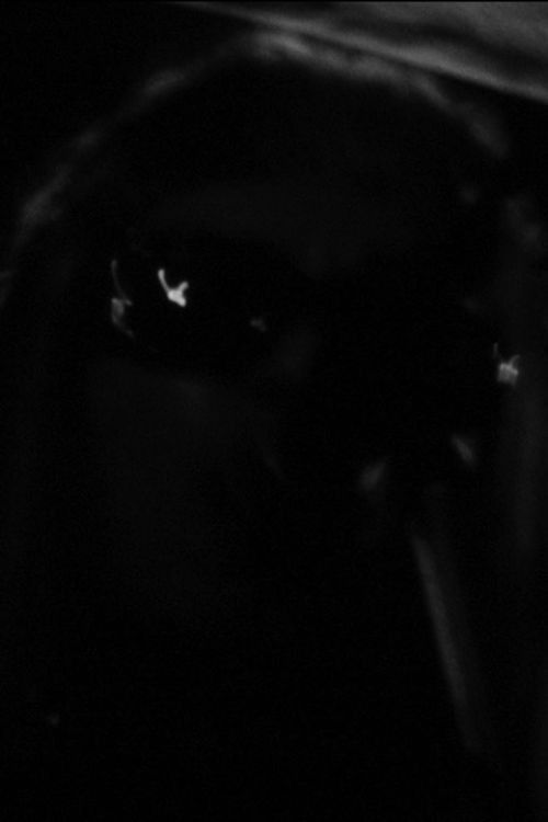 One Roll in the Blackness (2011) poster