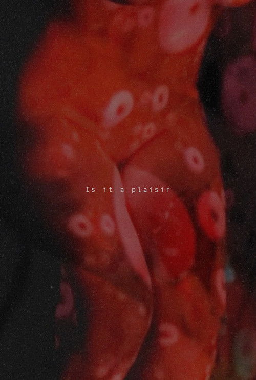 Is It A Plaisir (2025) poster