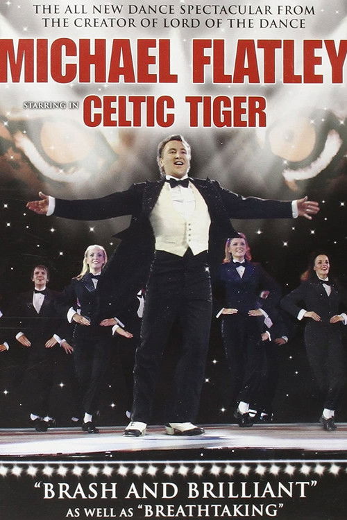 Celtic Tiger (2005) poster