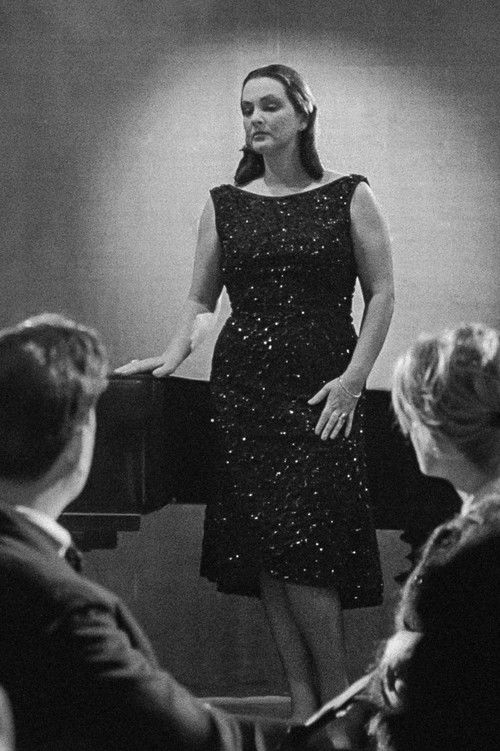 Evening at the Starlings (1960) poster