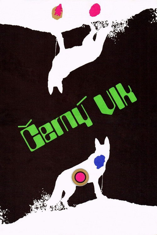 Black Wolf (1972) poster