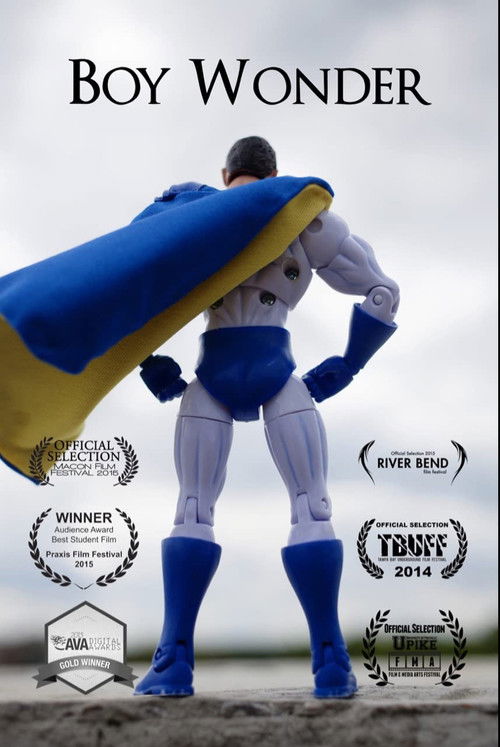 Boy Wonder (2014) poster