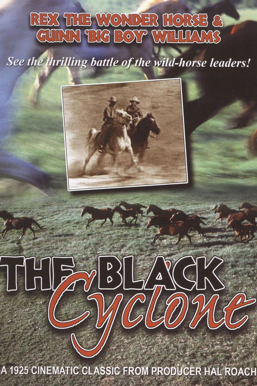 The Black Cyclone (1925) poster