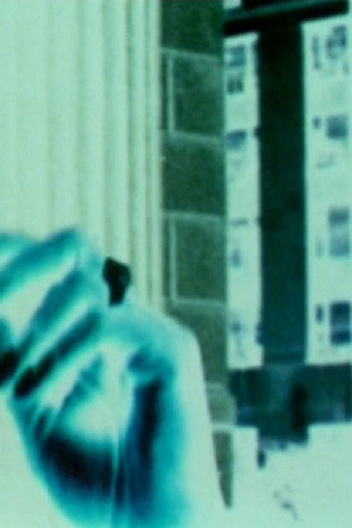H2 (2004) poster